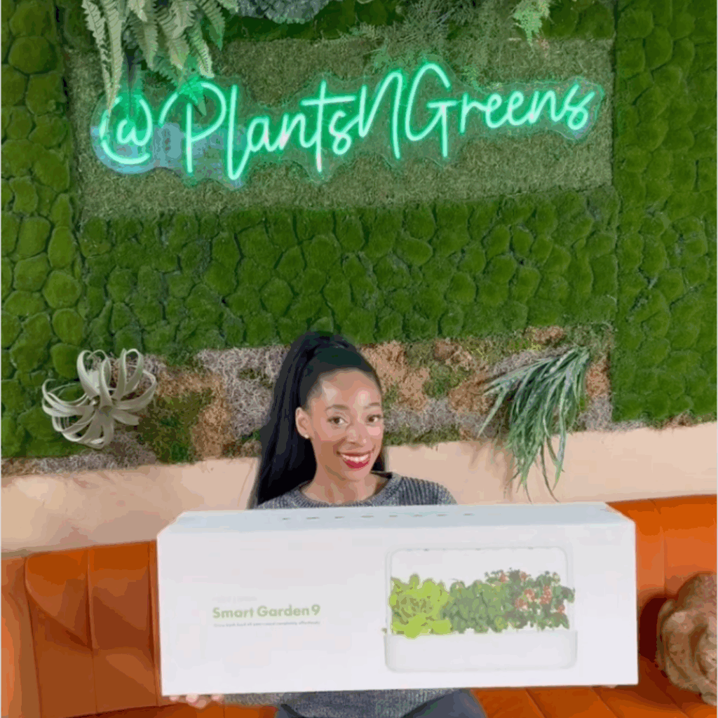 Click & Grow case study